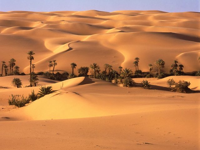 une excursion désert Dubaï avec dîner et spectacle traditionnel